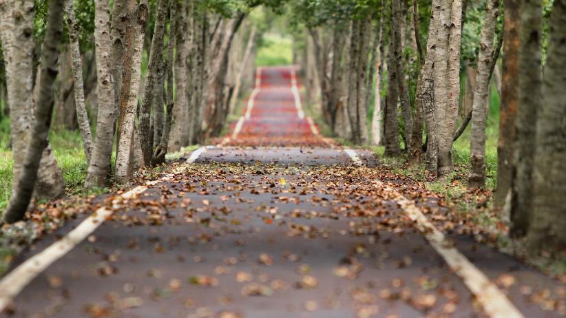 Image by 二 盧 from Pixabay