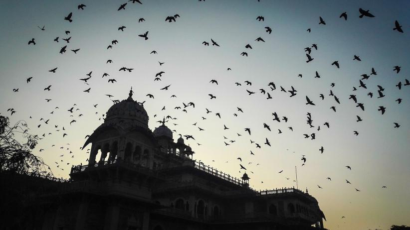 Unicode Migration - Image by Mihir Upadhyay from Pixabay