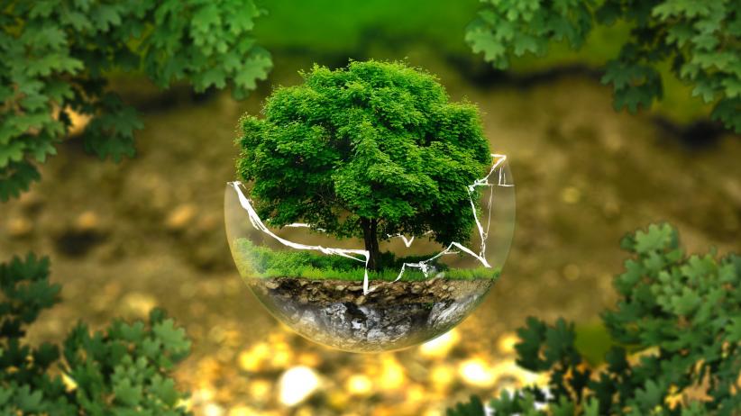Image by ejaugsburg from Pixabay